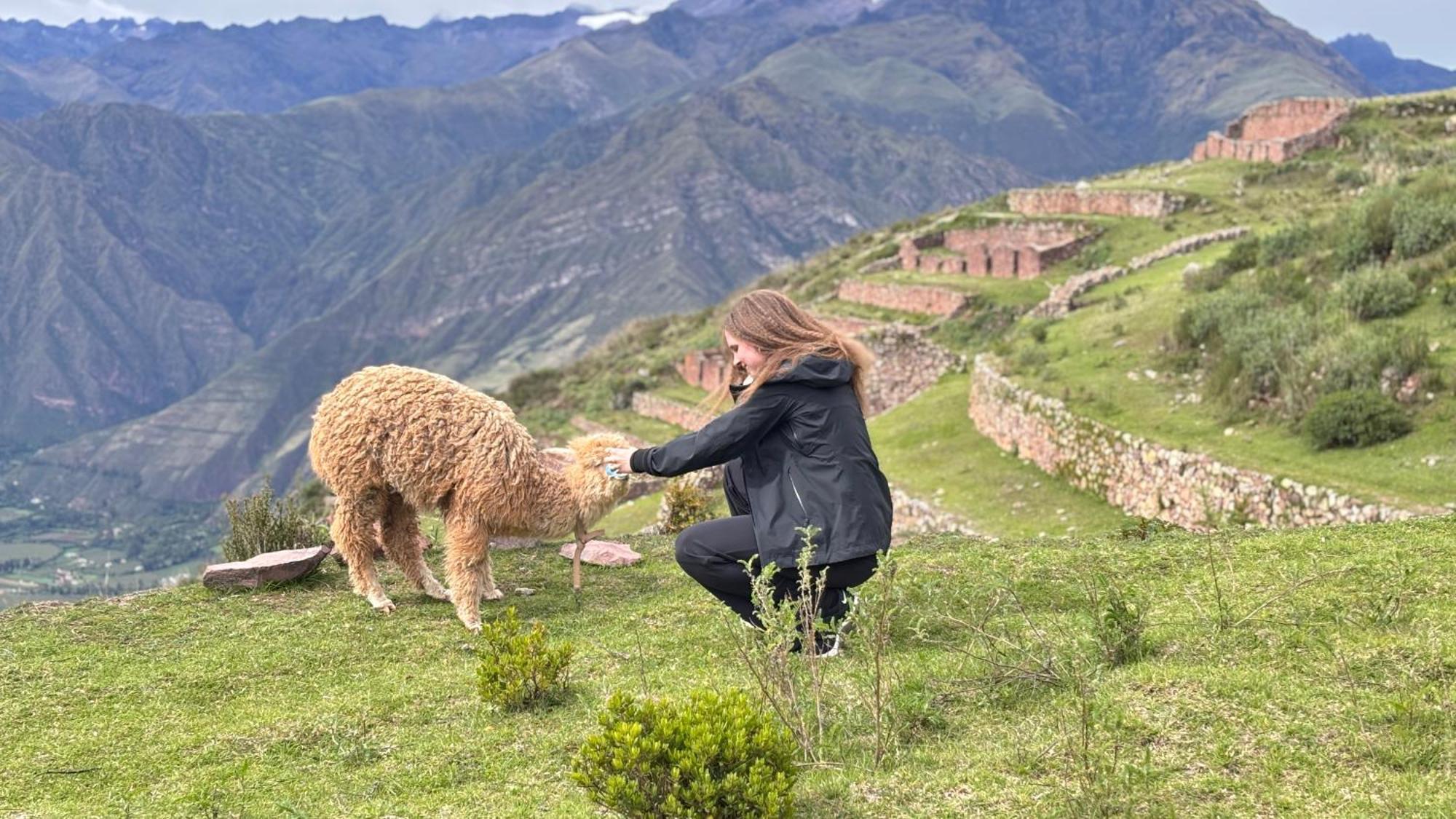 Sky Dome Peru Otel Cusco Dış mekan fotoğraf
